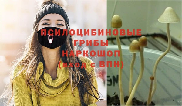 мескалин Белокуриха