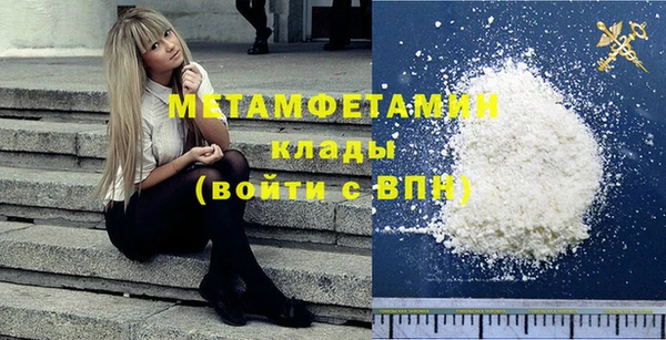 прущие грибы Богданович