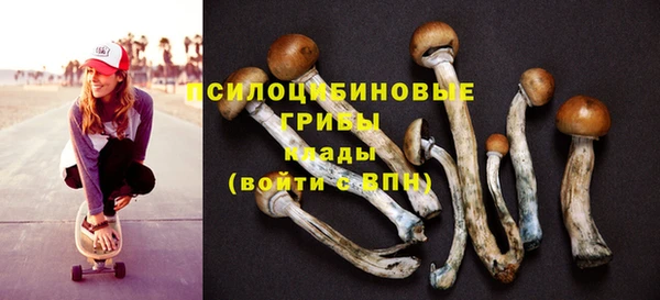 мескалин Белокуриха