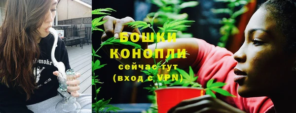 прущие грибы Богданович