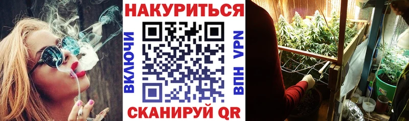 наркошоп  Светлый  Каннабис сатива 